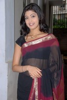 Pranitha Saree Photos